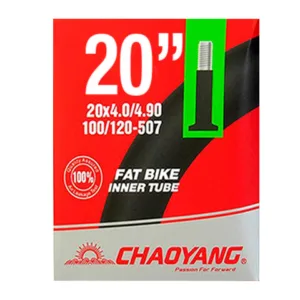 Chaoyang 20x4.0/4.9 AV48 iç lastik schrader valf